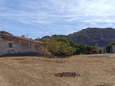 Terreno rústico en venta en Camino de los almendrales