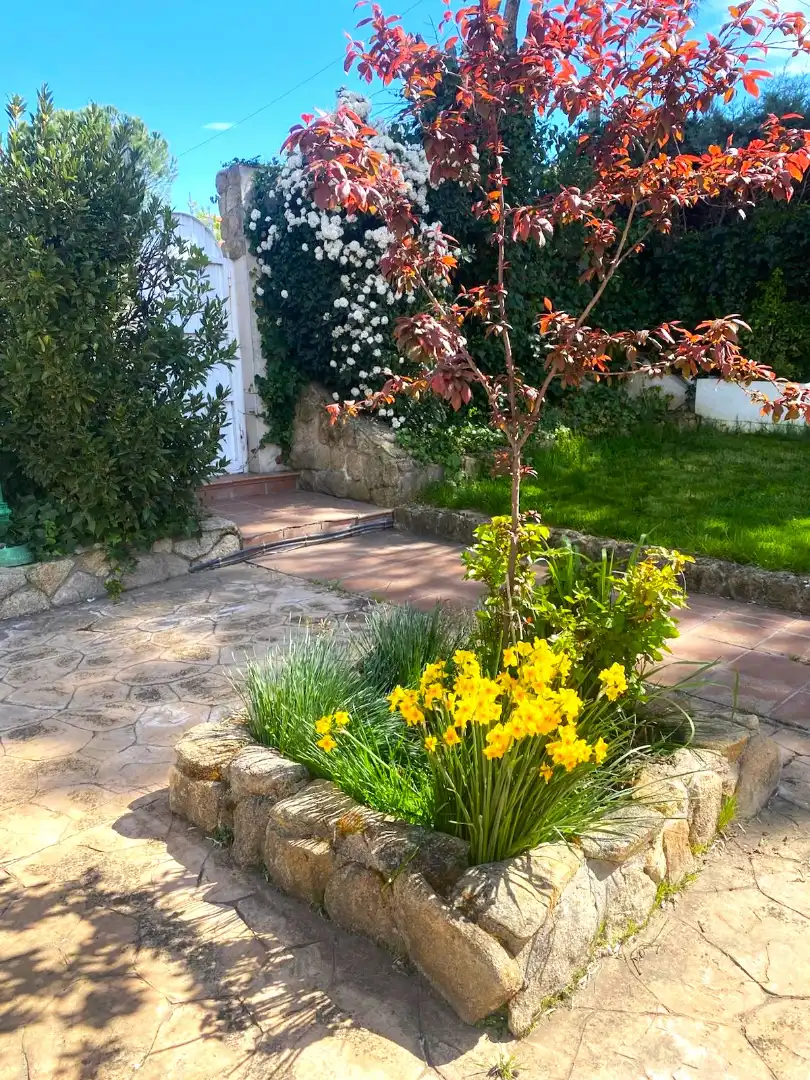 Villa avec piscine à vendre à Calle Fuente Serena, imagen 9
