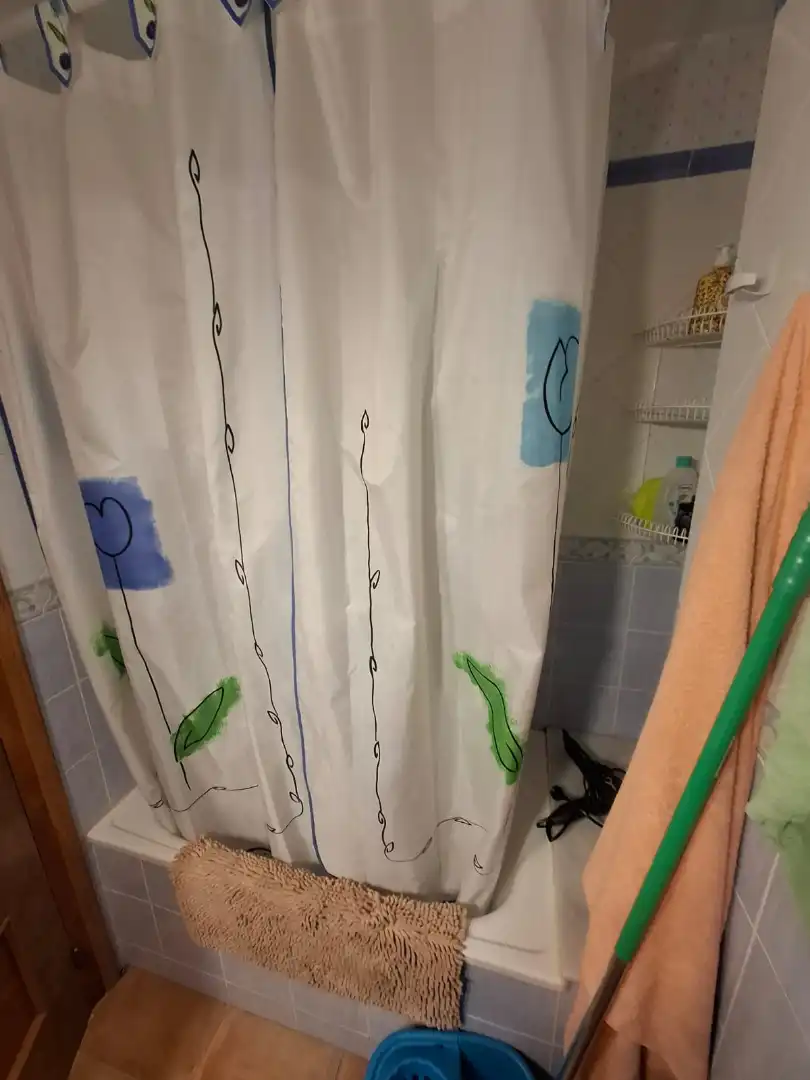 Bathroom of Flat for sale in Setcases  with Furnished