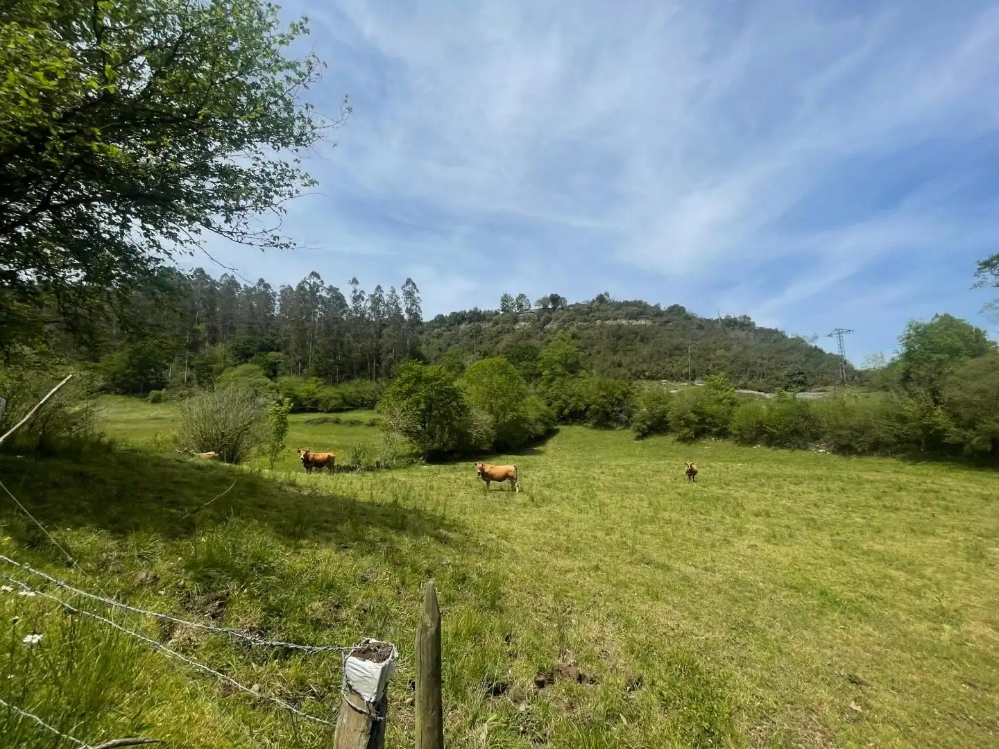 Terrenos y solares en venta en Valdáliga, imagen 3