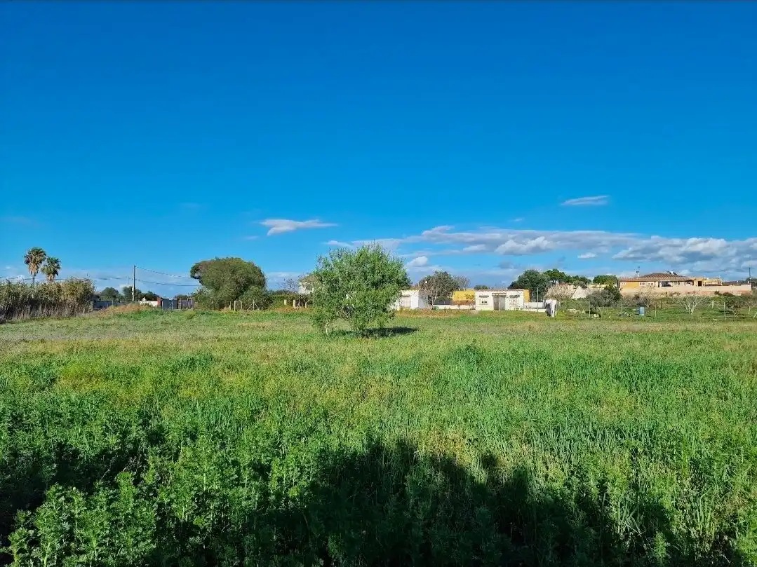 Terreno rústico en venta en Ctra.Portal -Genaro 107, imagen 11