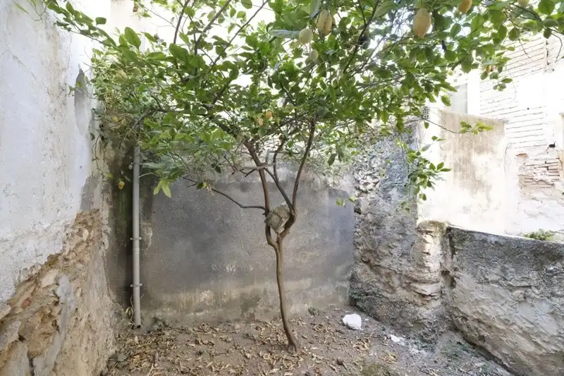 Casa en venta en Camino de la Fuente 1, imagen 24