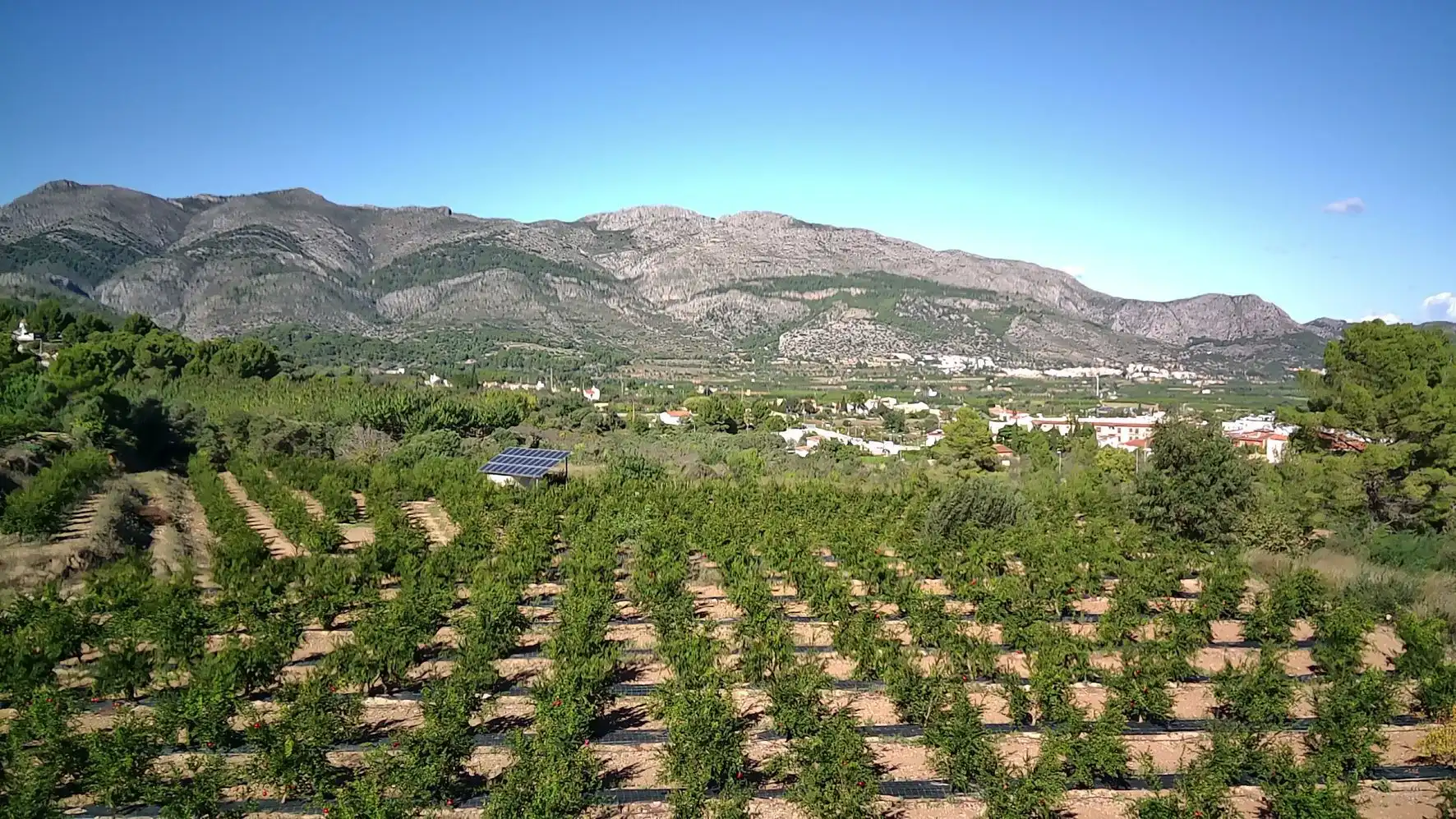 Terrenos y solares en venta en Tormos, imagen 4