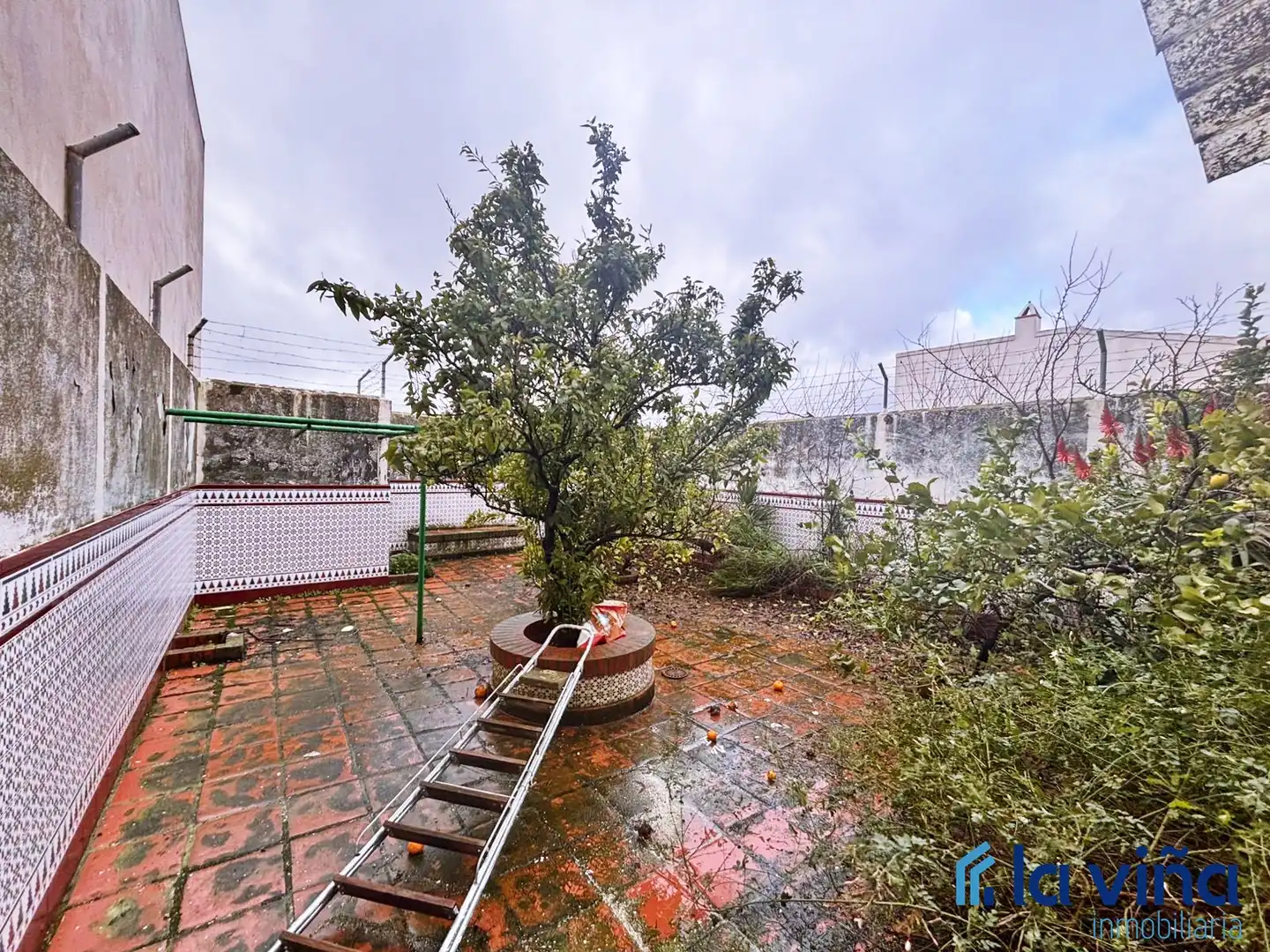 House with terrace for sale in Archidona, imagen 14