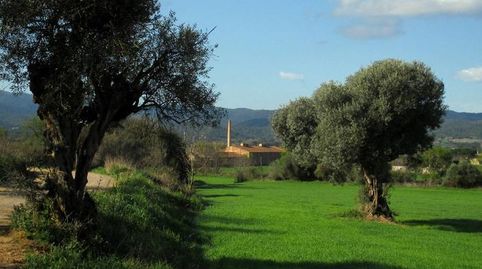 Foto 3 de Casa o xalet en venda a Corçà, Girona