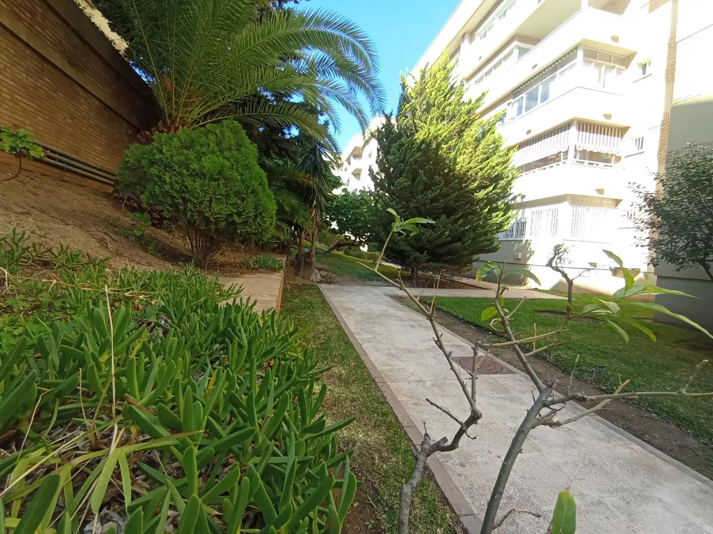 Exterior view of Flat for sale in Málaga  with Terrace