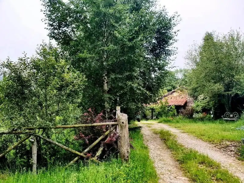 Vista exterior de Casa o chalet en venta en Los Tojos  con Calefacción y Jardín privado