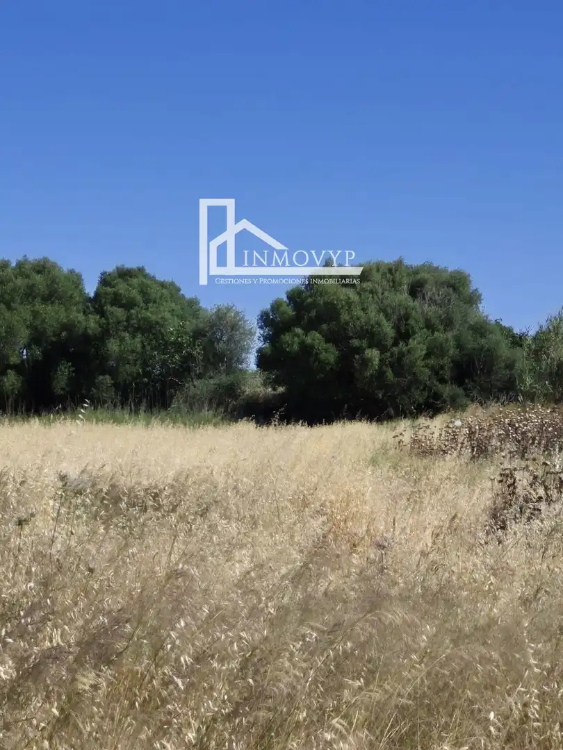 Country house zum Verkauf in Sa Pobla