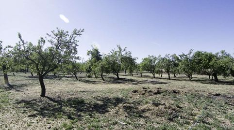 Foto 5 de Casa o xalet en venda a Menasalbas, Toledo