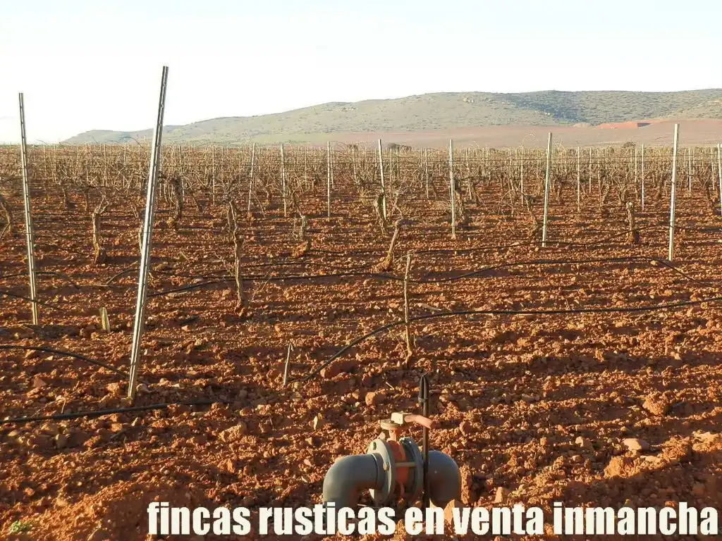 Terreno rústico en venta en Moral de Calatrava, imagen 16