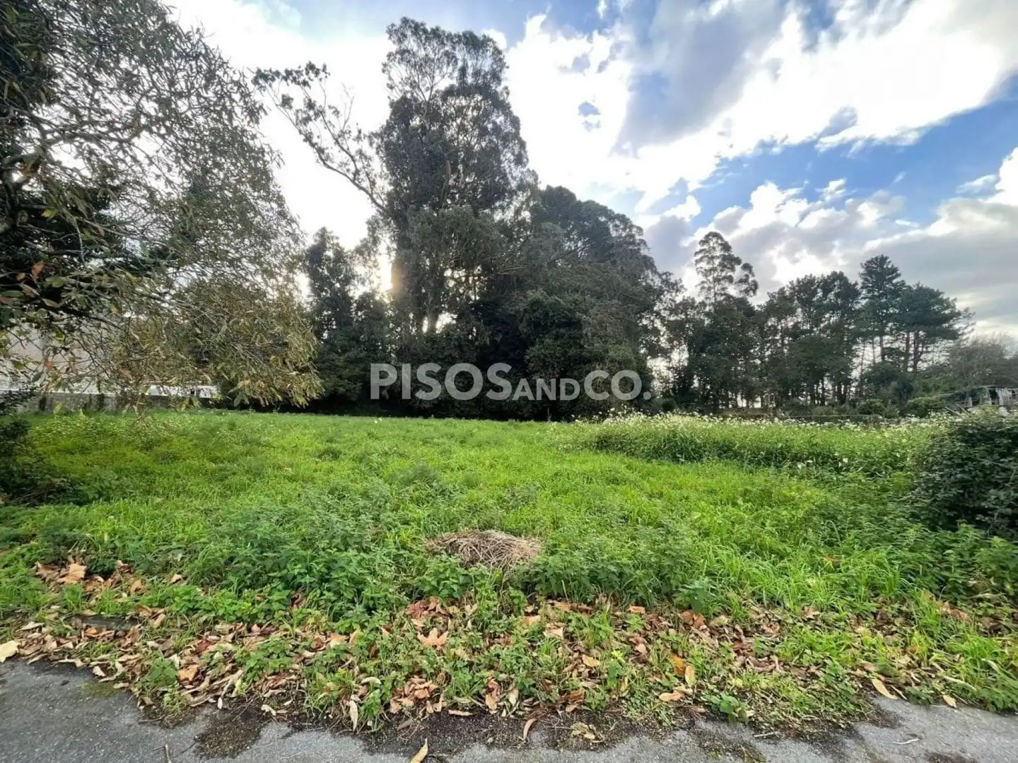 Terreni e lotti in vendita a Emilia Pardo Bazán, imagen 9