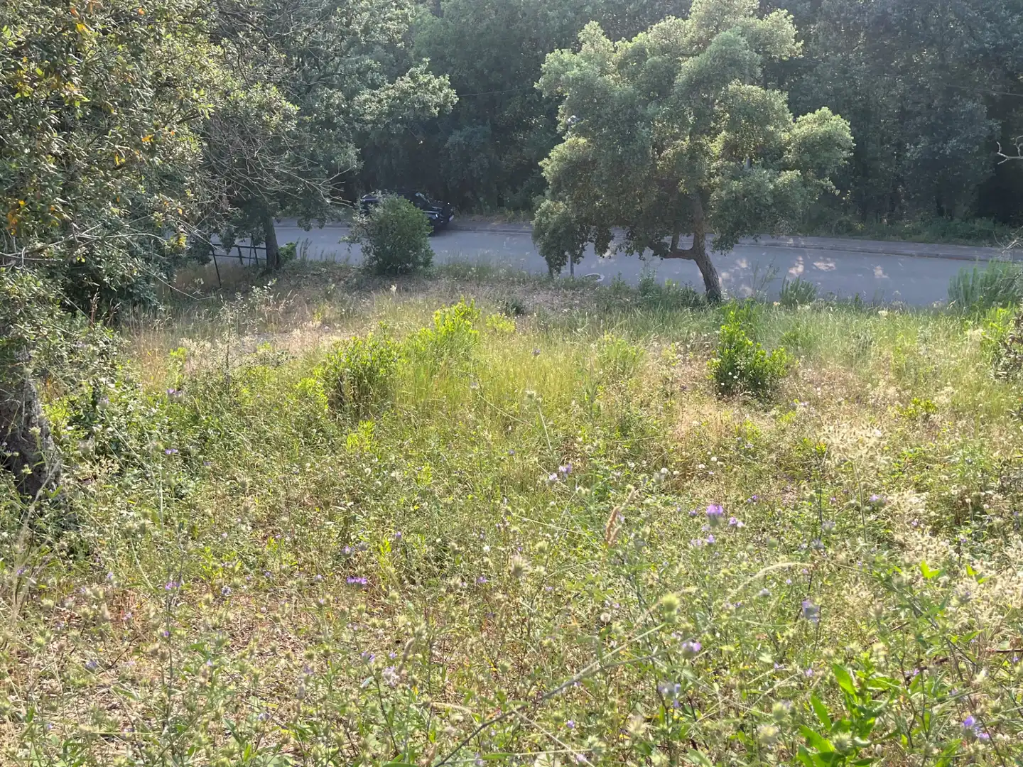Terrain résidentiel à vendre à Carrer de l'Alt Urgell 1956, imagen 7