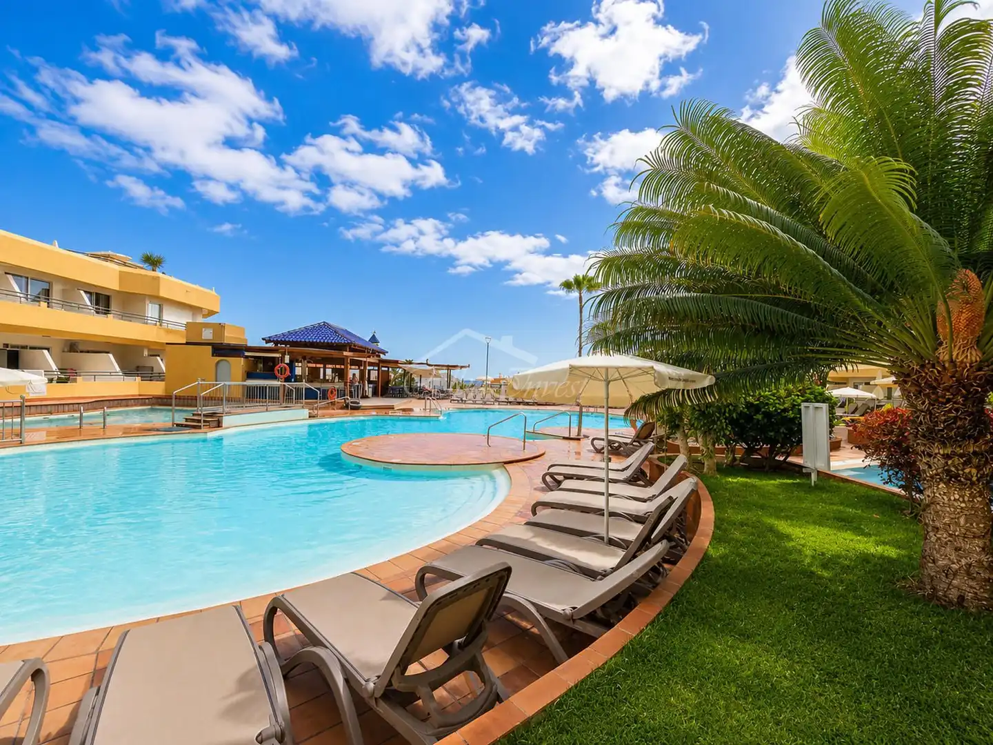 Swimming pool of Flat for sale in Adeje  with Terrace, Swimming Pool and Furnished