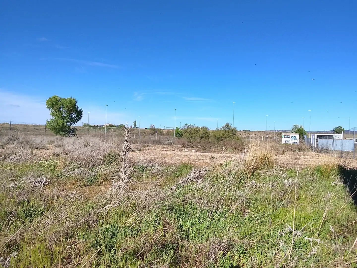 Industrial land for sale in Velilla de San Antonio