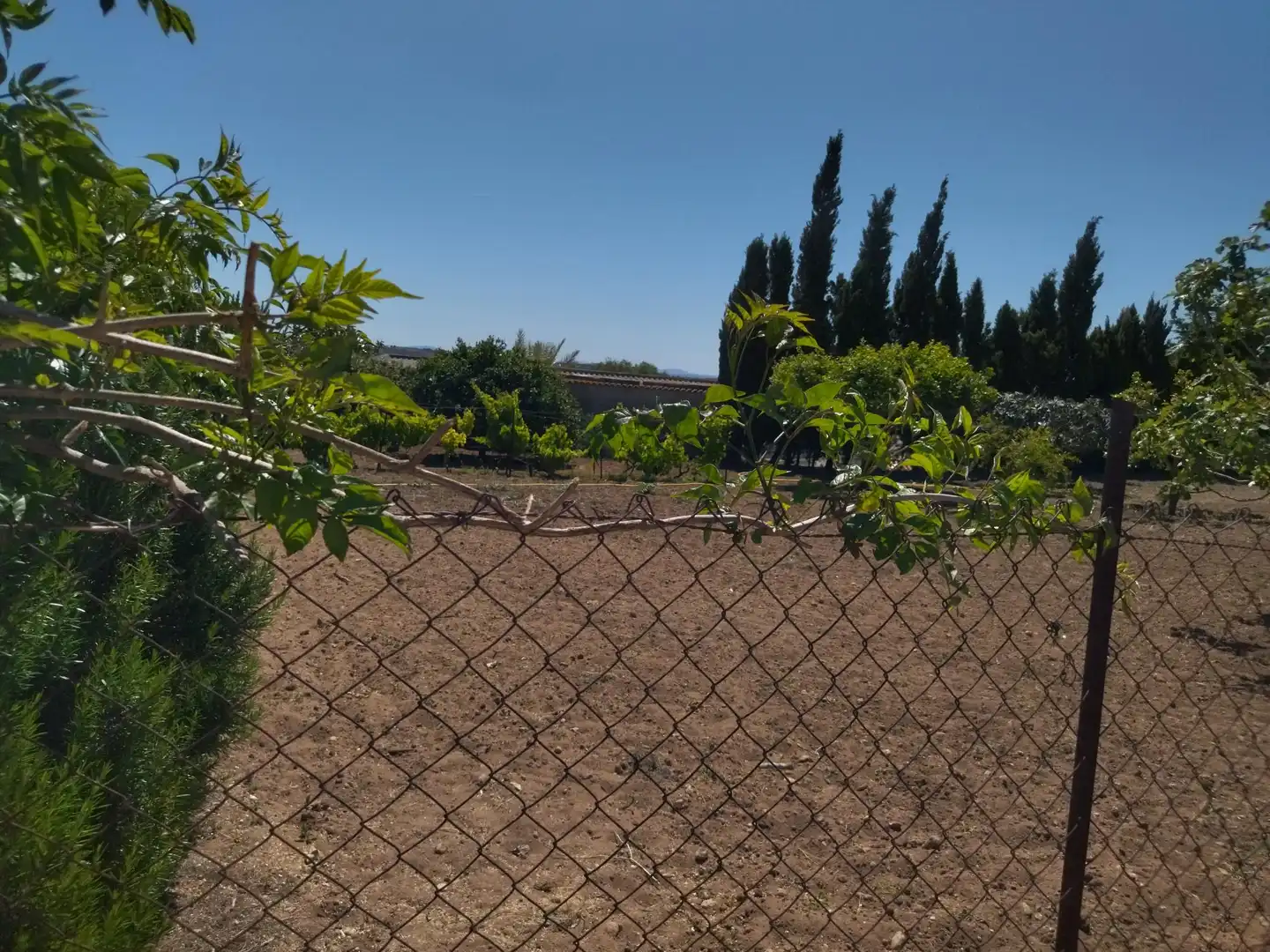 Casa rustica con giardino in vendita a Vejer, imagen 36