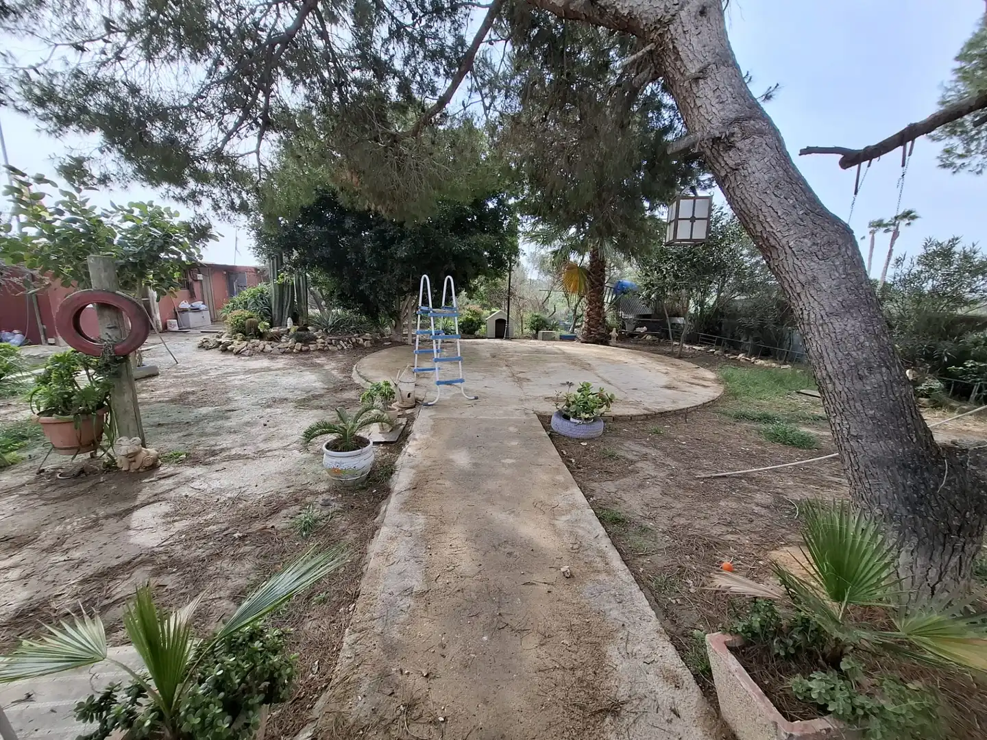 Finca rústica en venda a Partida Saavedra, El Edén
