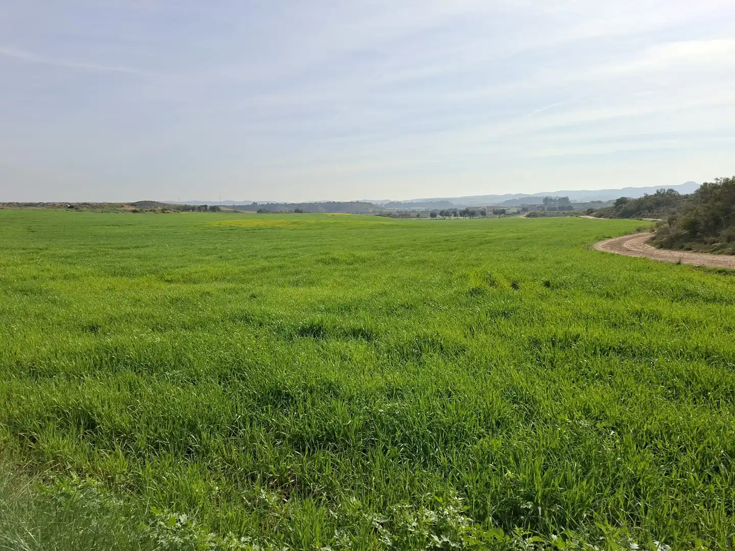 Terreni e lotti in vendita a Huerta Rimer de Alla, imagen 14
