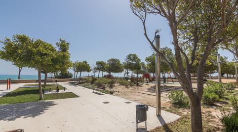 Foto 4 de Estudi de lloguer a Los Arenales del Sol, Elche / Elx