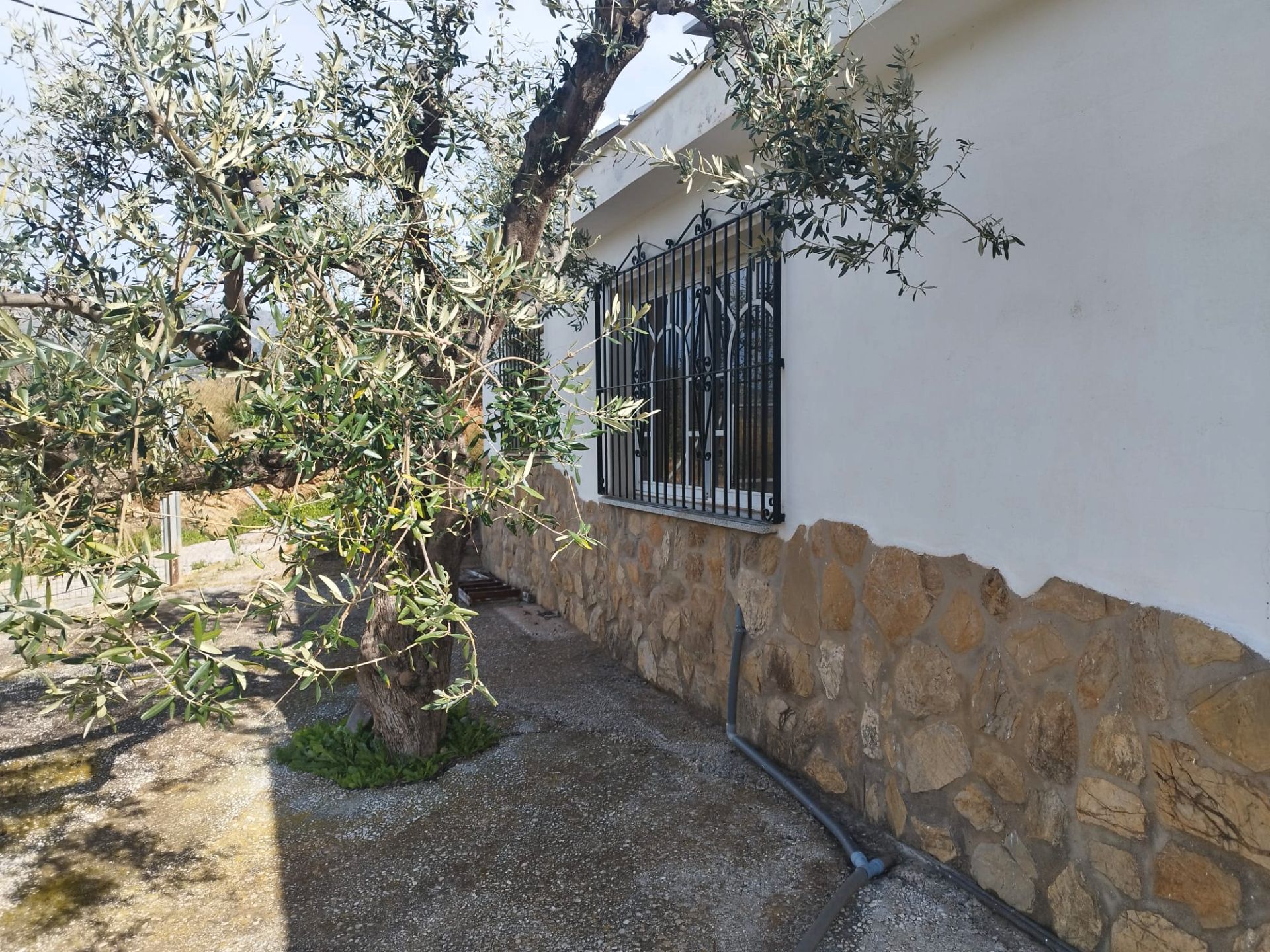 Jardí de Finca rústica de lloguer en Fuengirola amb Jardí privat, Moblat i Rentadora