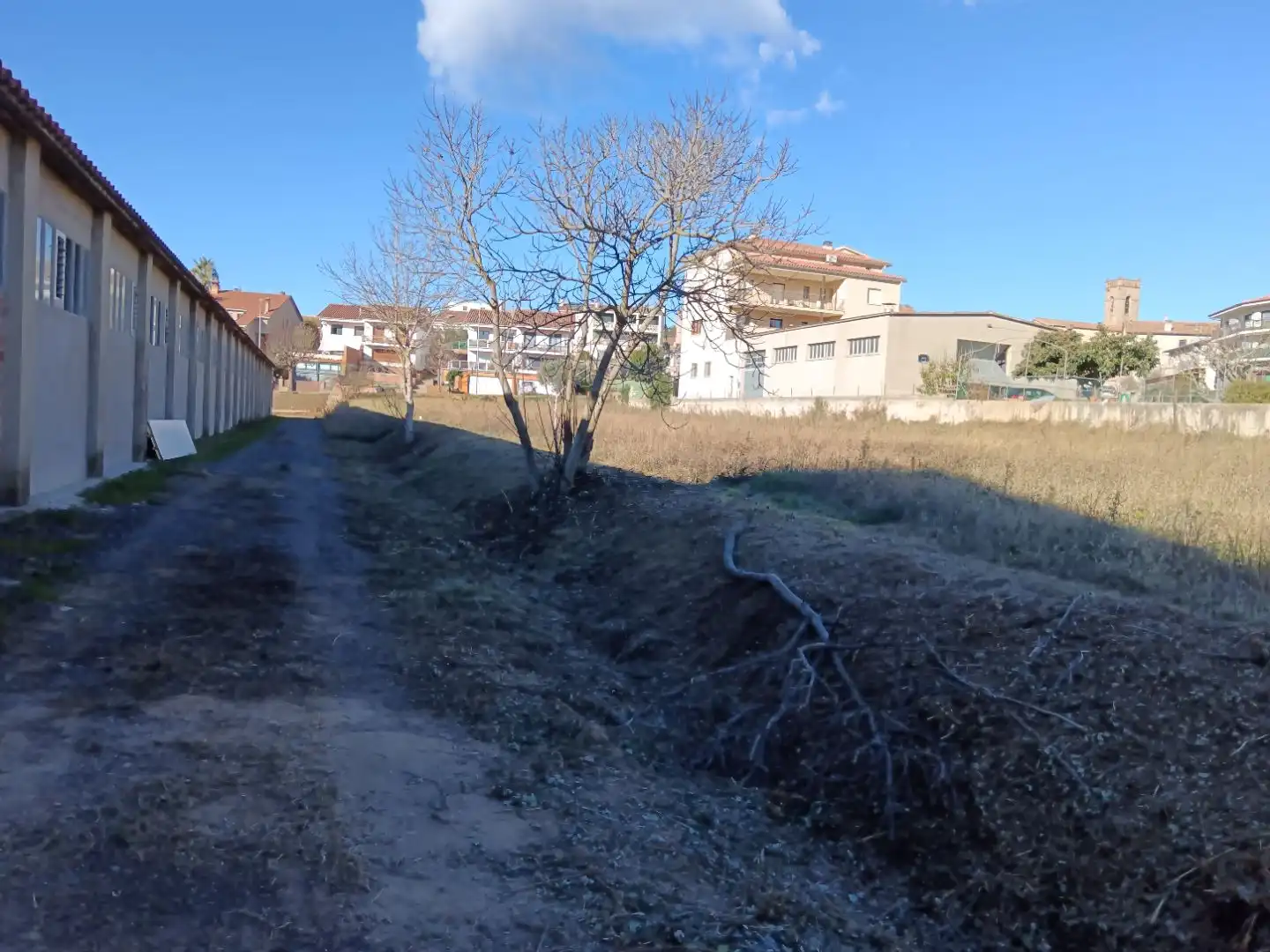 Industrial building to rent in carretera Olvan 9, imagen 20