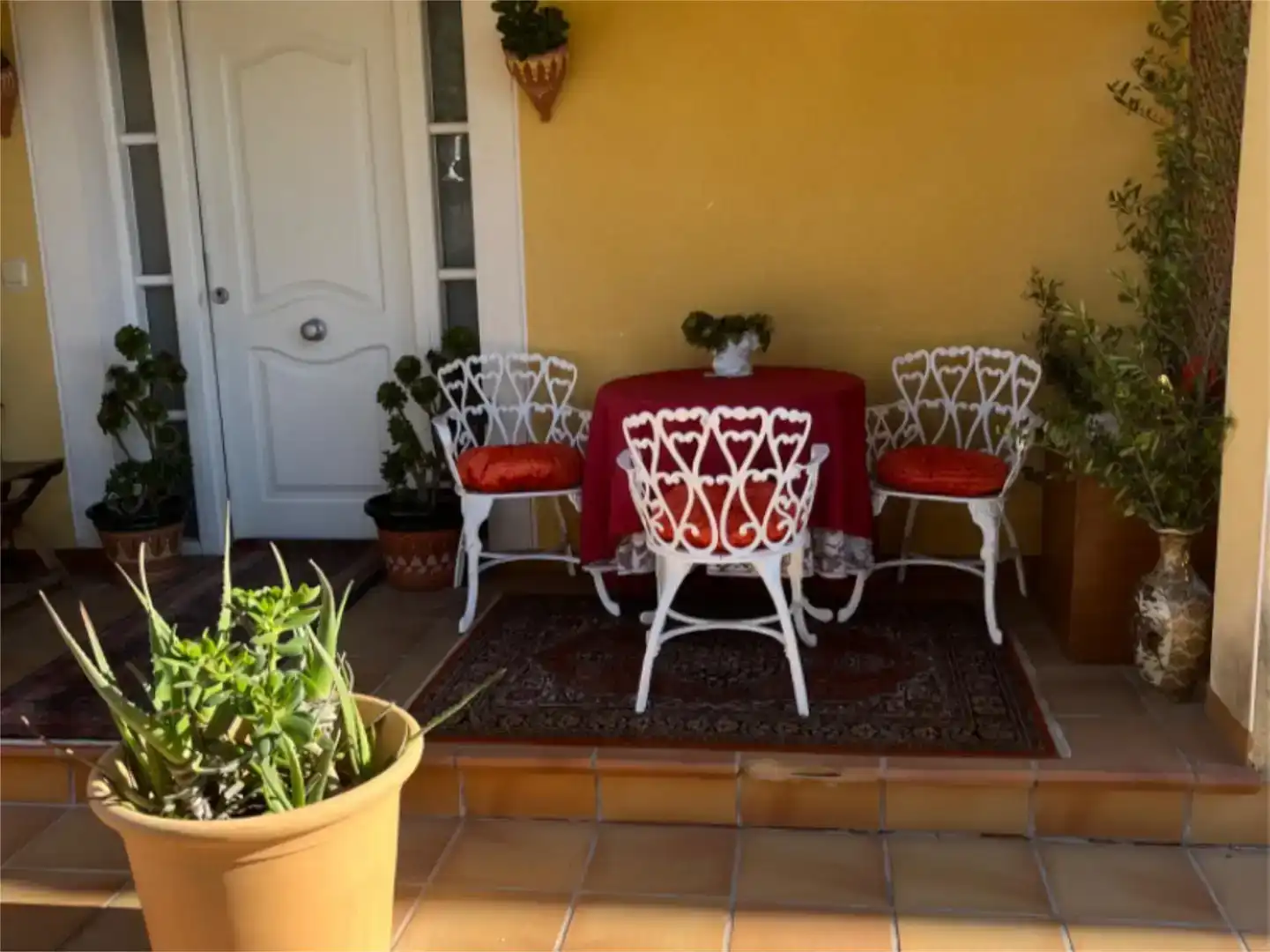Terrace of Houses for share in La Franquesa - Oasis Park