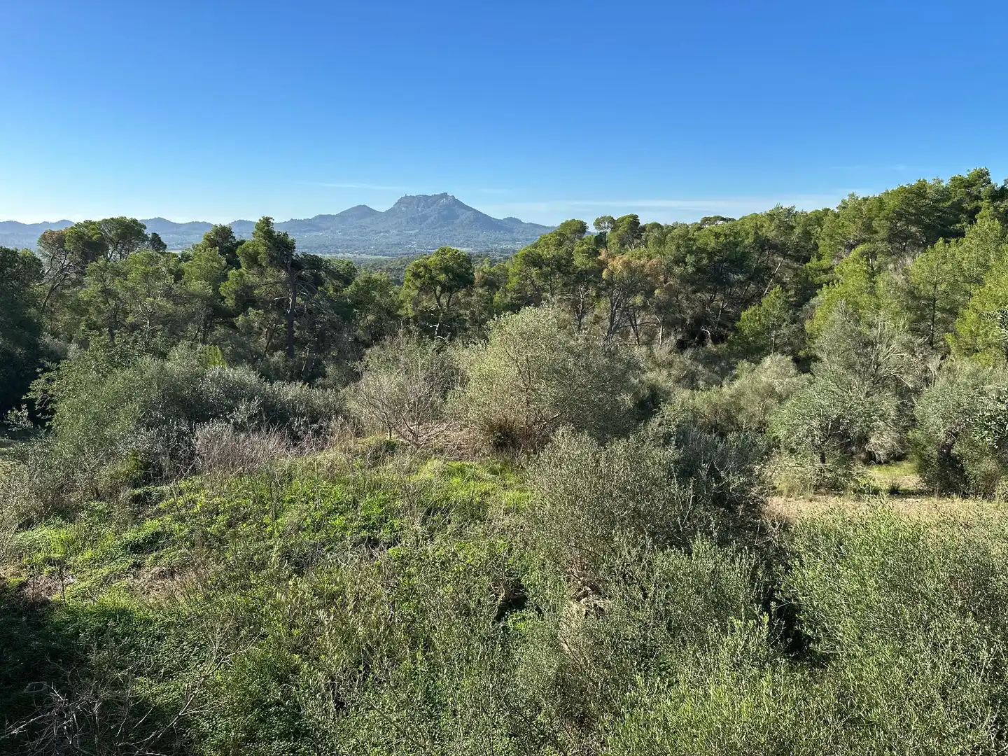 Casa en venta en Manacor Centre, imagen 38