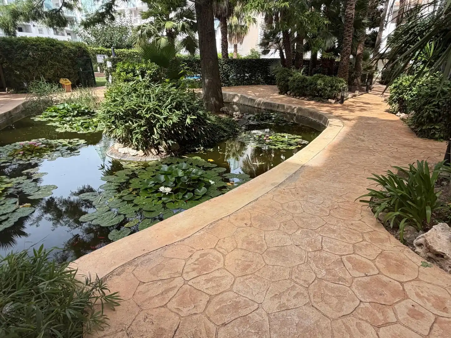 Appartement compact avec piscine à vendre à PORT JOAN 2, imagen 23
