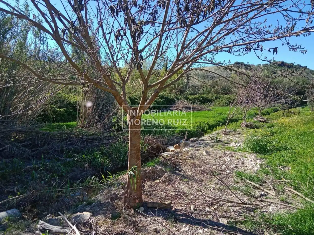 Terreny residencial en venda a Luque, imagen 7