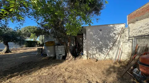 Foto 3 de Casa o chalet en venta en Pedanías Norte, Utrera