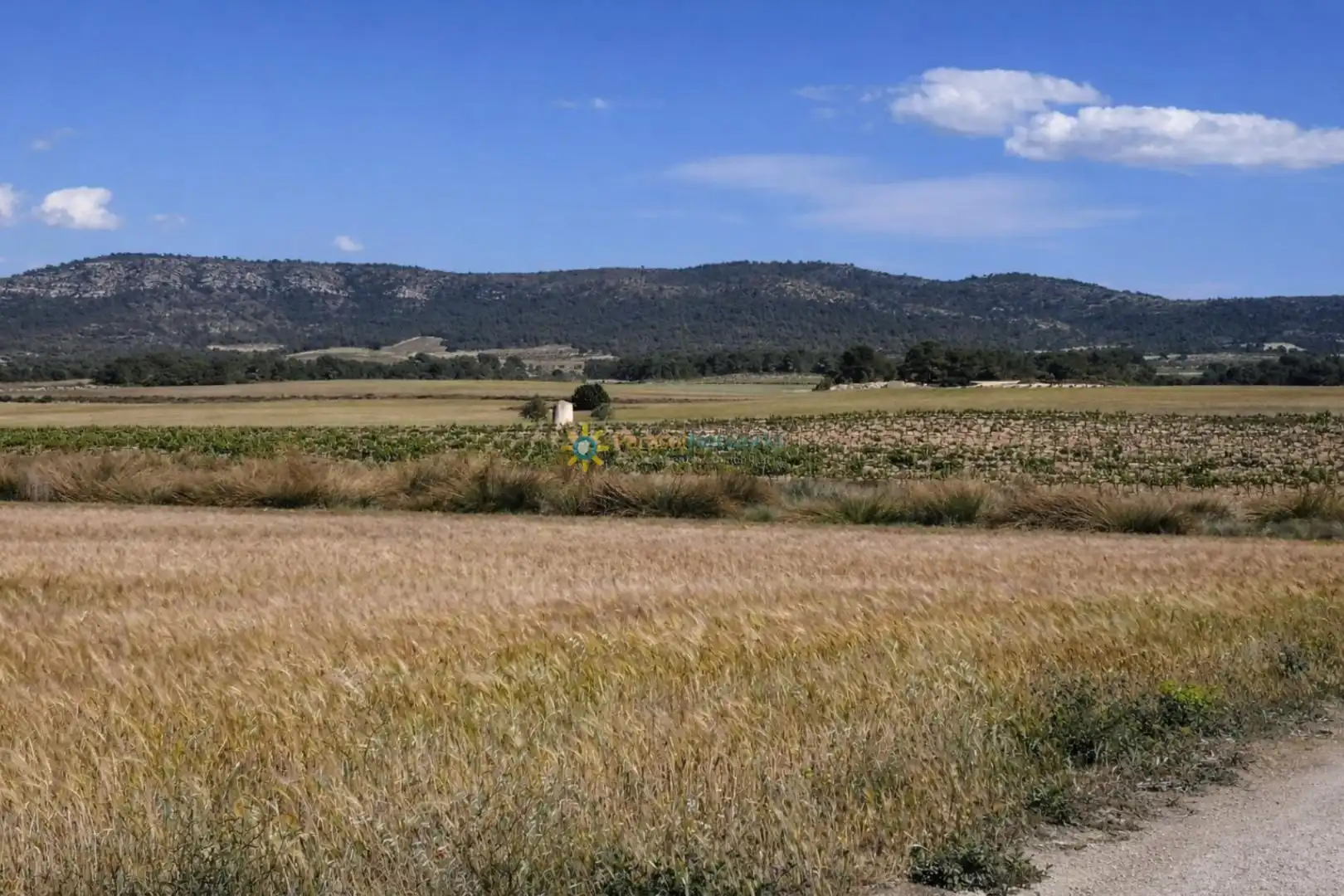 Finca rústica en venda en Villena amb Jardí privat, Terrassa i Traster
