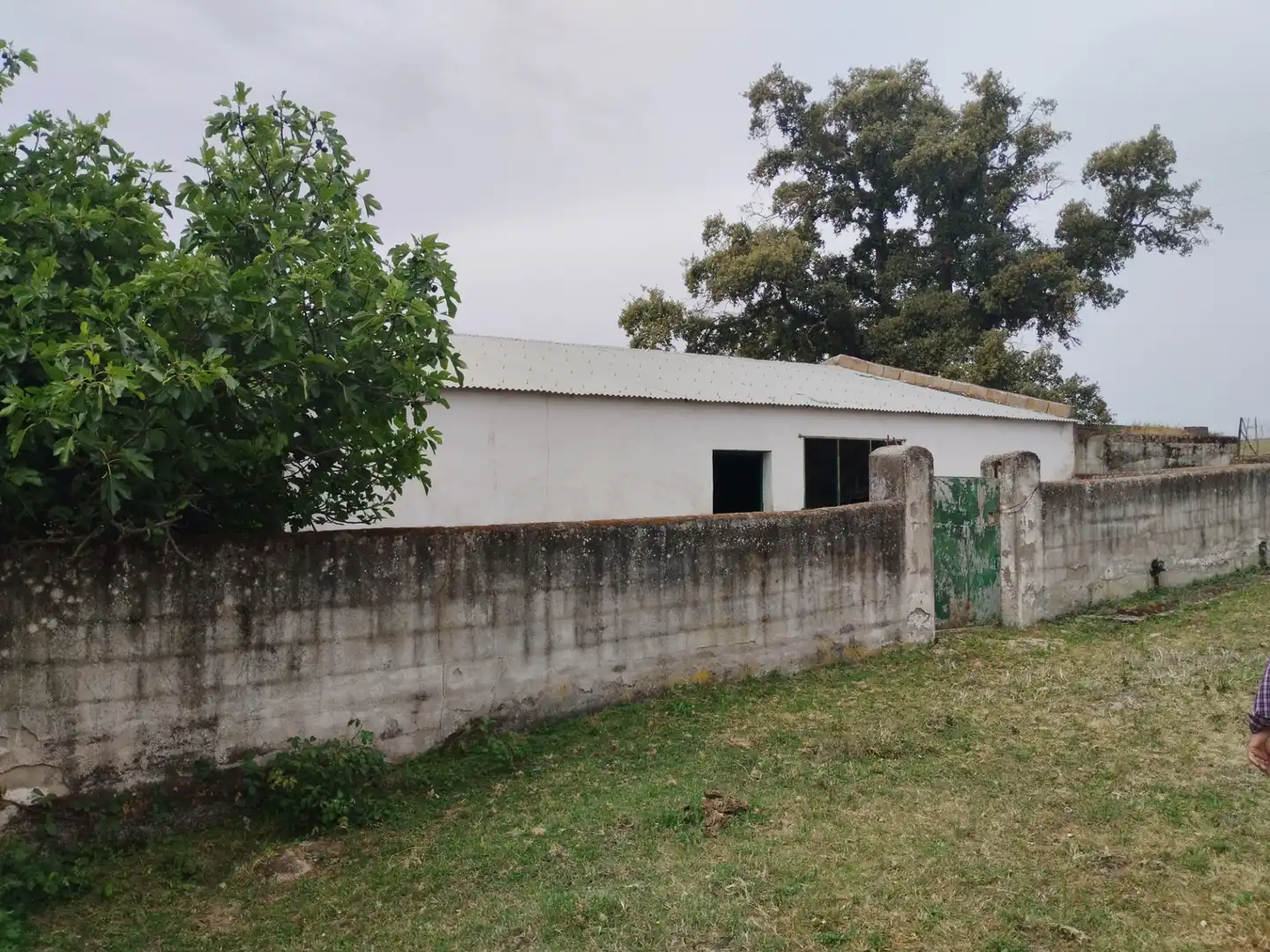 Terreni e lotti in vendita a Jerez de los Caballeros, imagen 17