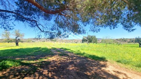 Photo 5 of Land for sale in Sa Casa Blanca, Illes Balears