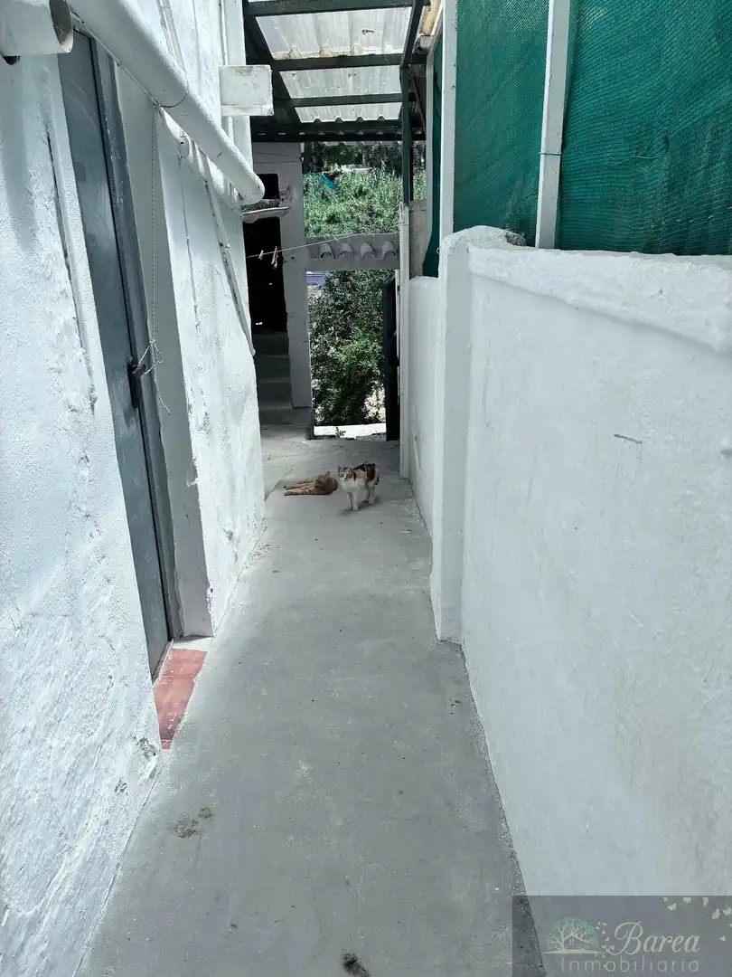 Vista exterior de Casa o chalet en venta en Rute con Trastero y Amueblado