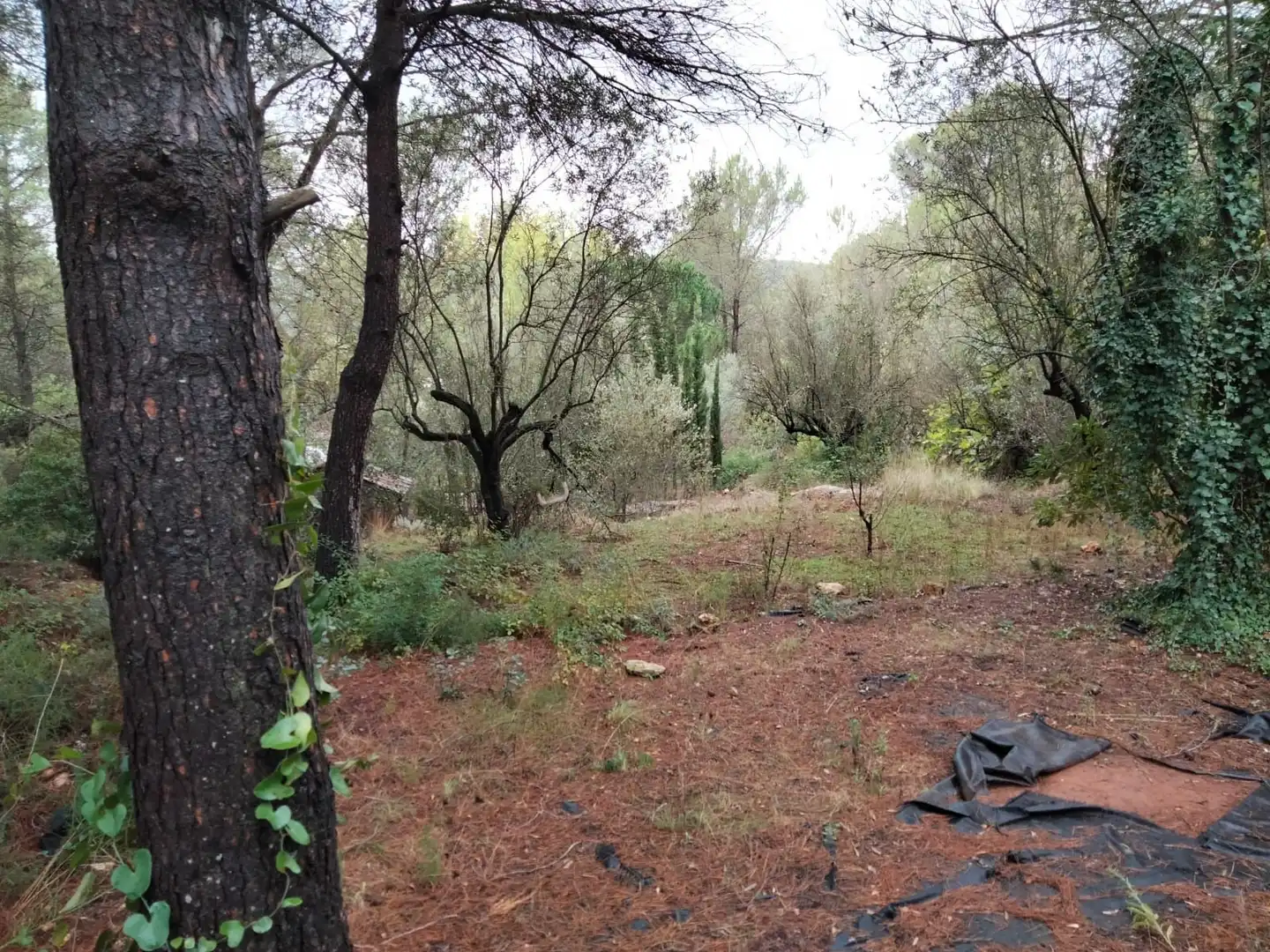 Rural land for sale in Vilallonga / Villalonga, imagen 10