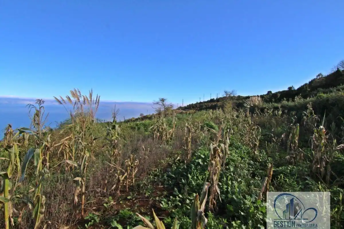 Finca rústica en venta en Los Realejos