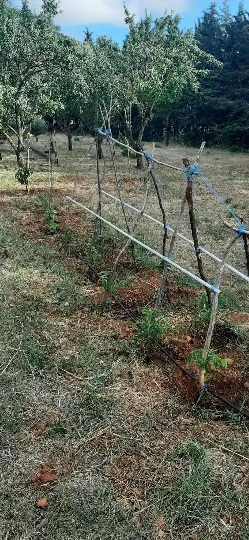 Finca rústica en venda en Barásoain amb Jardí privat i Piscina