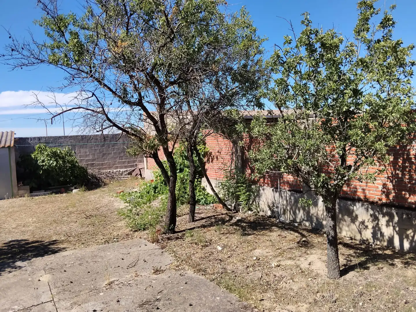 House with garden for sale in Calle Conde Vallellano, imagen 7