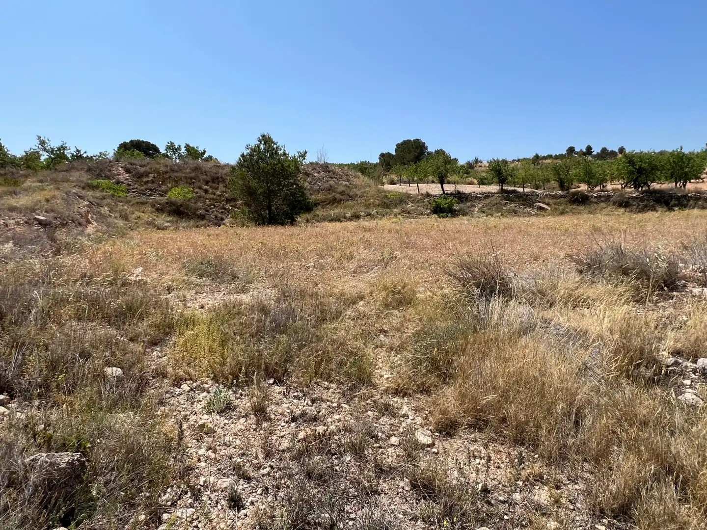 Terreny residencial en venda a La Murada - Los Vicentes, imagen 30