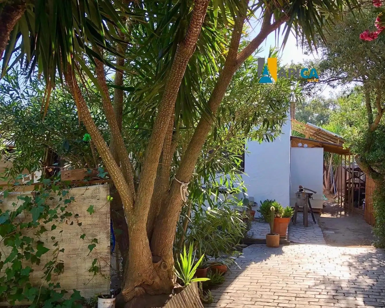 Garden of Houses for sale in Chiclana de la Frontera  with Air Conditioner and Heating