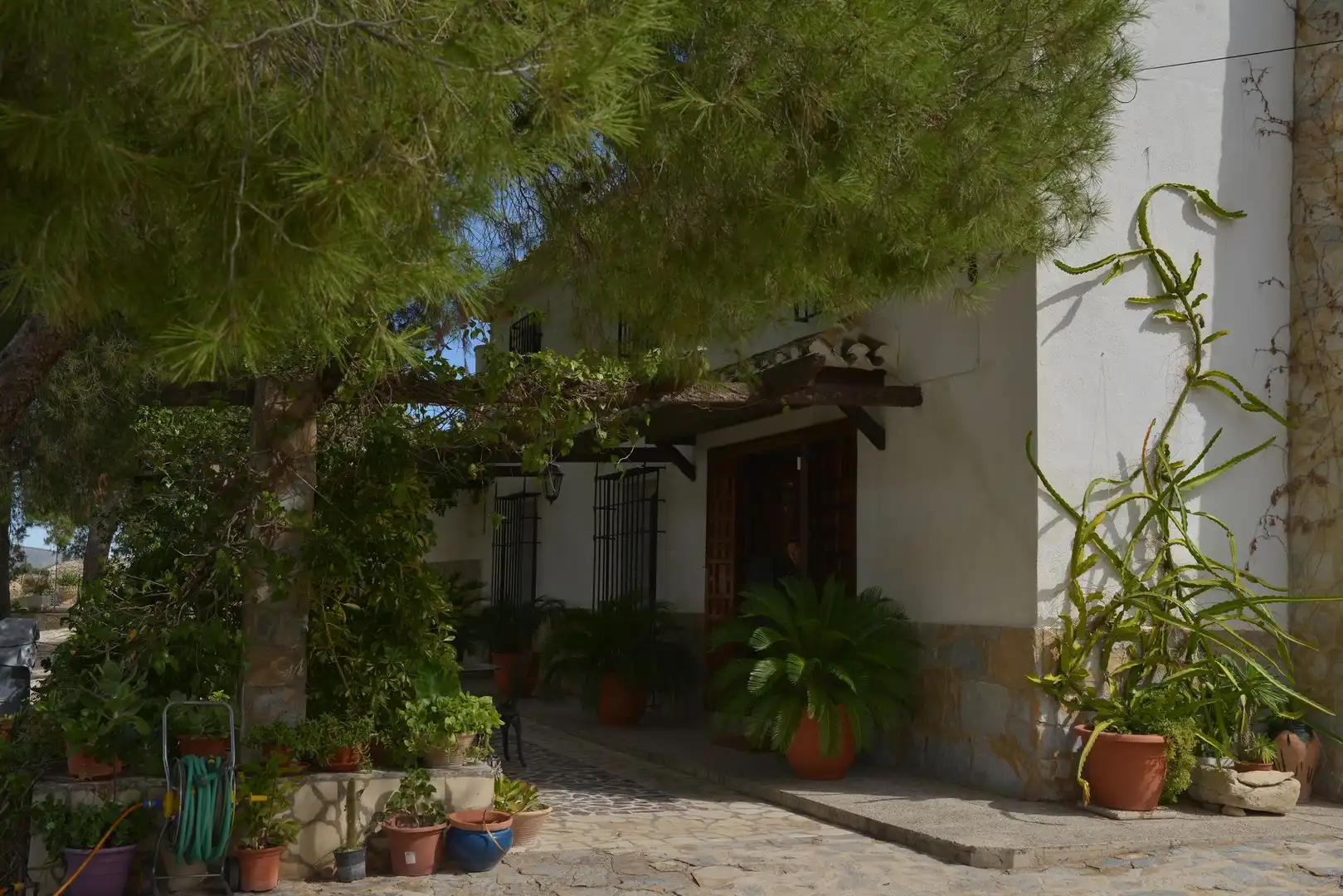 Vista exterior de Casa o xalet en venda en Mula amb Calefacció, Jardí privat i Terrassa