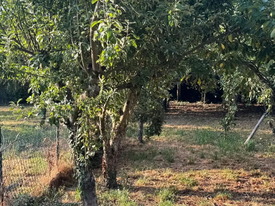 Residencial en venda en Taboada