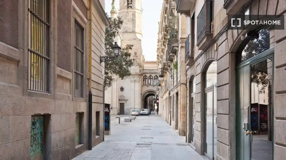 Flat with terrace to rent in Ciutat Vella, imagen 10