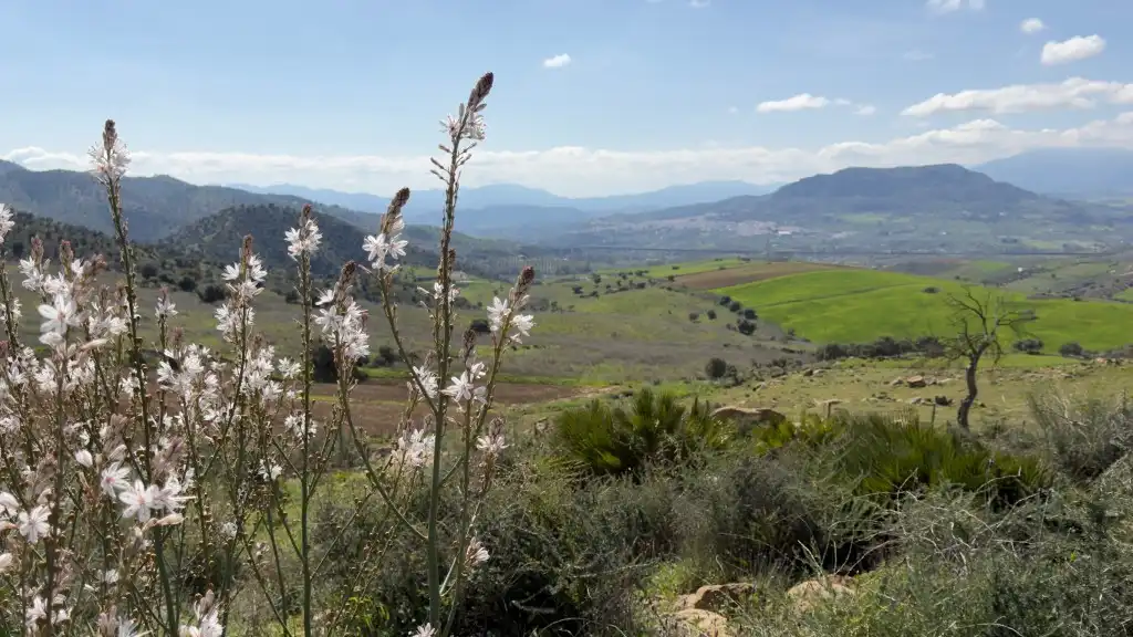 Casa rústica en venta en Álora, imagen 9