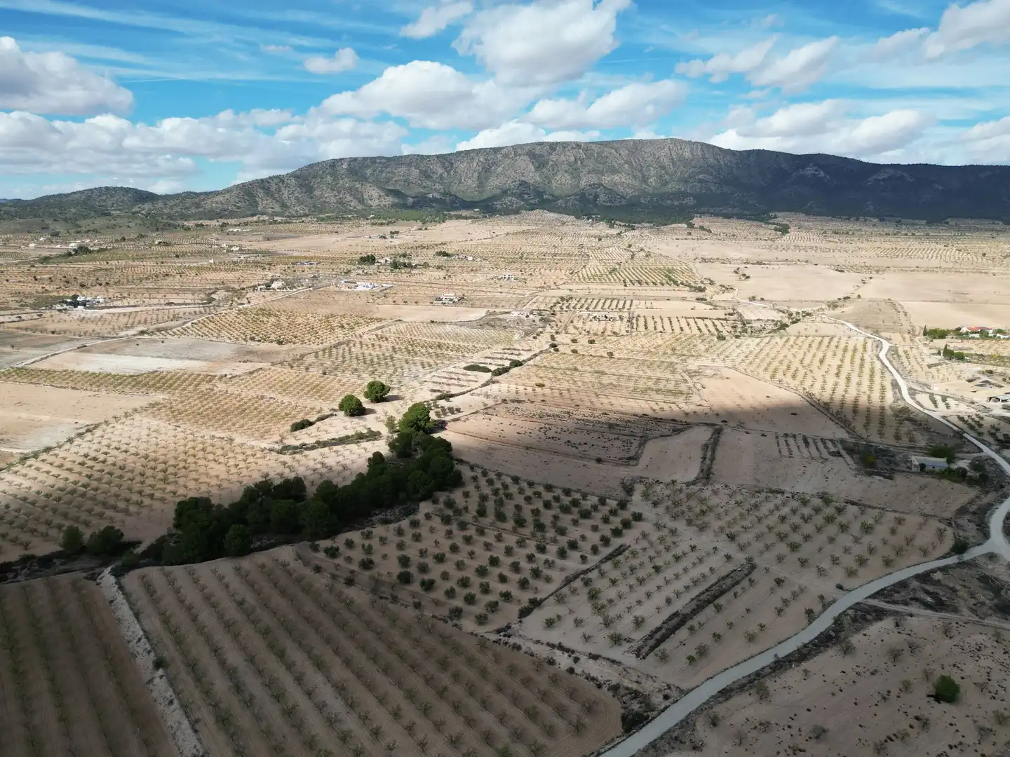Terreno residencial en venta en El Pinós / Pinoso, imagen 12