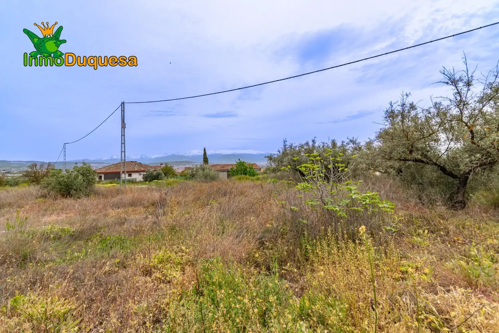 Terreni e lotti in vendita a Albolote, imagen 16