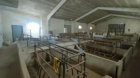 Foto 4 von Fabrikhallen zum Verkauf in Calle Eras, Villafáfila, Zamora