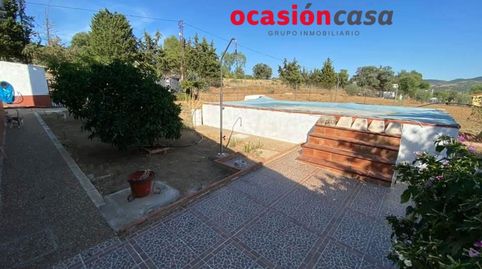 ESPECTACULAR PARCELA CON CASA, PISCINA Y OLIVOS, imagen 5