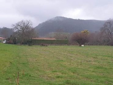 Terreno residenziale in vendita a Mazcuerras