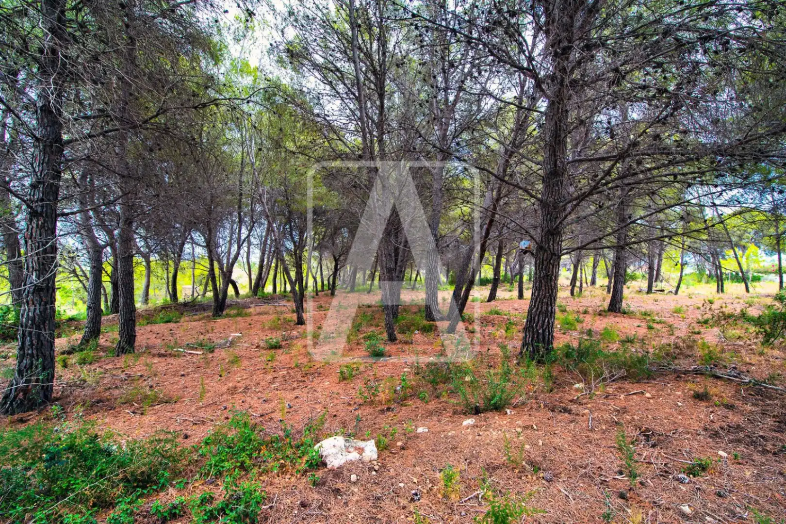 Detached house with pool for sale in Pinar del Advocat - Cometa, imagen 9