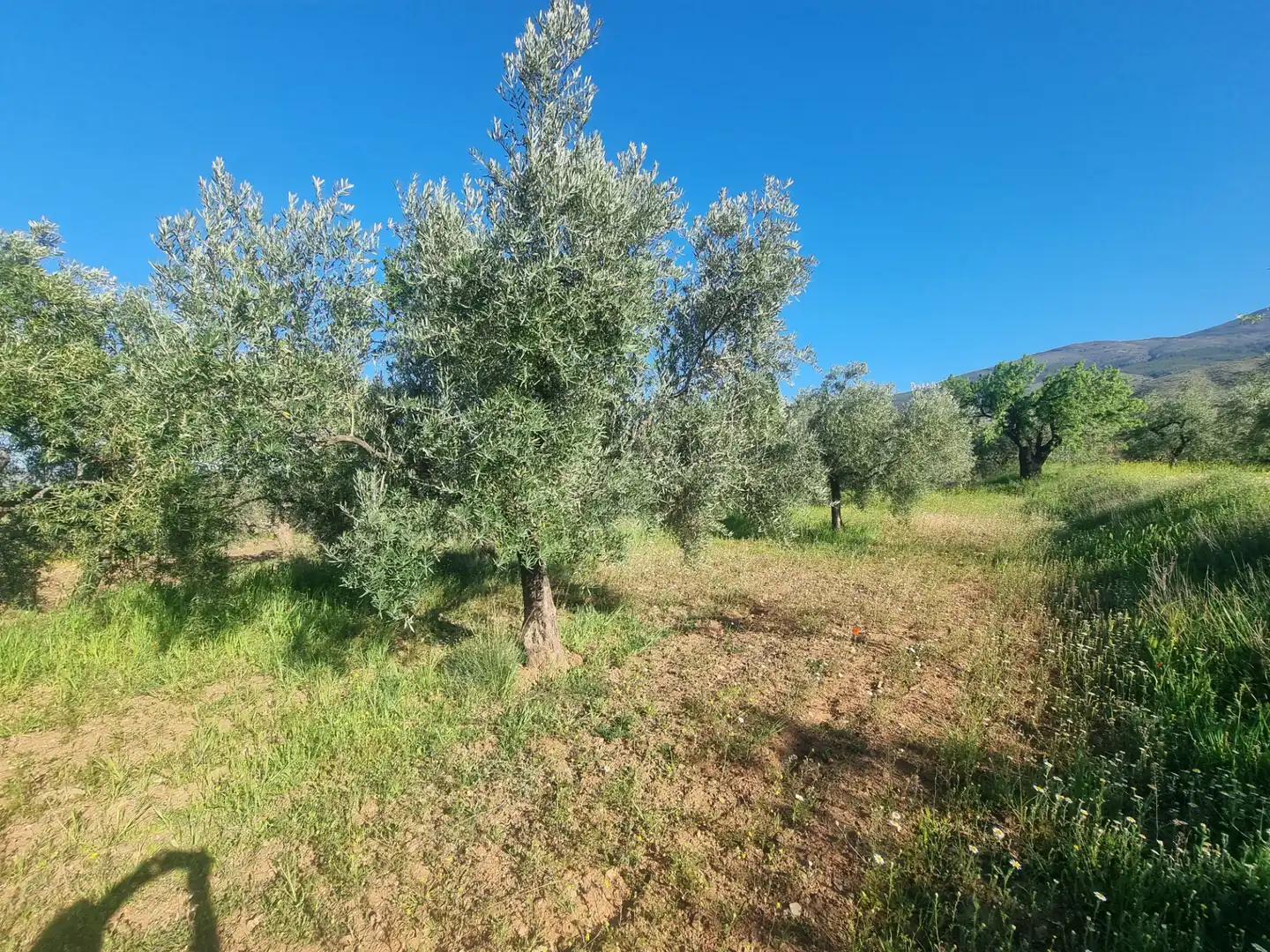 Terreno en venta en Abrucena